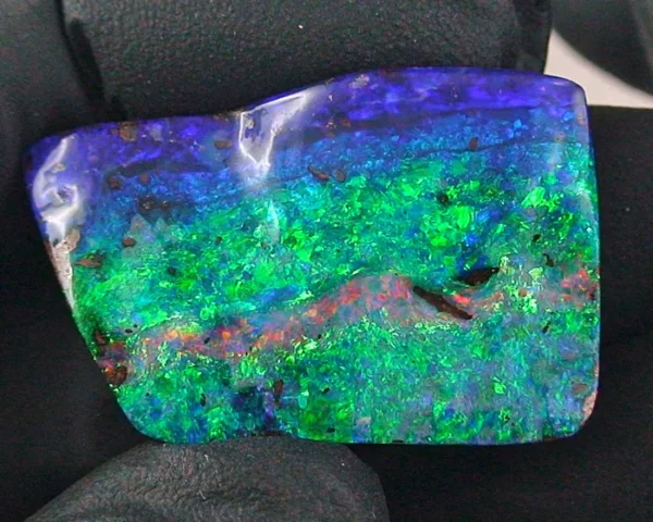 65,23 ct Boulder Opal Multicolor aus den Boulder Opal Fields Australien